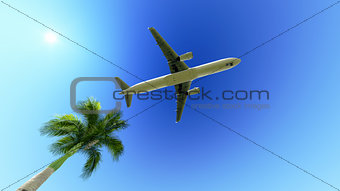 Airplane over the palm tree