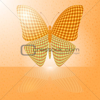 butterfly on the wall and its reflection on a horizontal surface