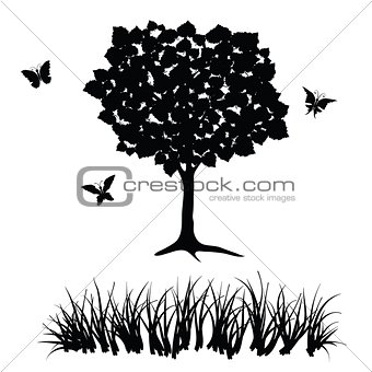tree and grass