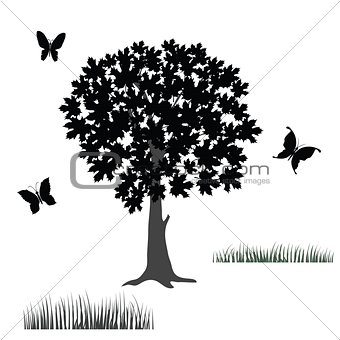 tree and butterflies