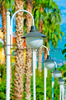 row of white streetlights and palm trees