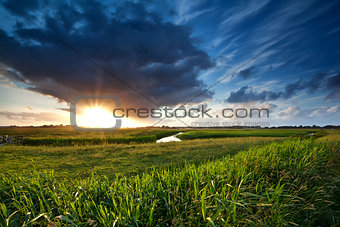 sunset over green summer meadow