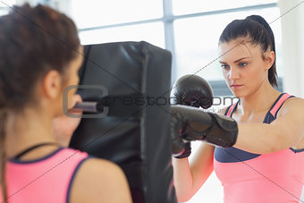 Determined female boxer focused on her training