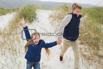 Happy siblings running hand in hand at beach