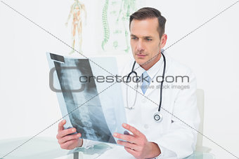 Concentrated male doctor looking at x-ray picture