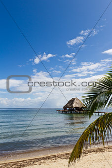 Tropical Belize