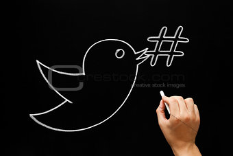 Bird Hashtag Concept