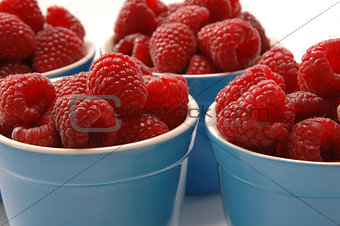 Fresh Ripe Raspberries