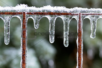 Icicles on a rusted fence after an ice storm.