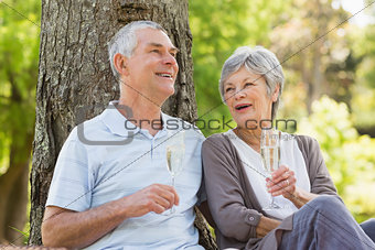 Happy senior couple with champagne at park