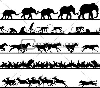 Animal foreground silhouettes