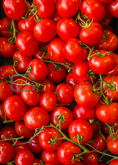 Red tomatoes at vegetables market.
