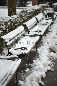 Snow on Benches
