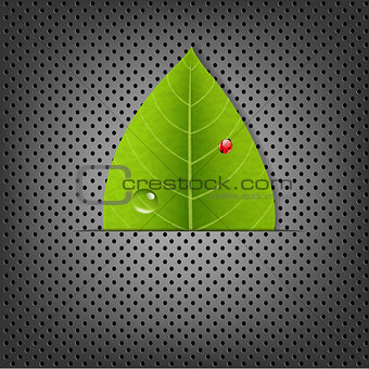 Metal Background With Green Leaf