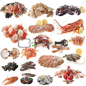 seafood and shellfish