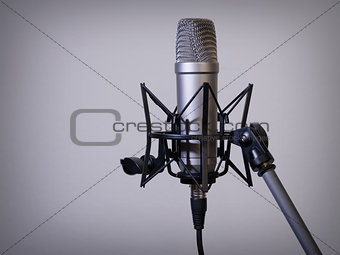 Large diaphragm microphone