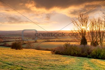 Golden winters morning, England