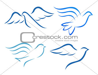 Vector illustration of flying dove 