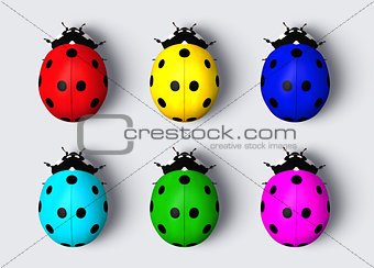 Colored ladybugs