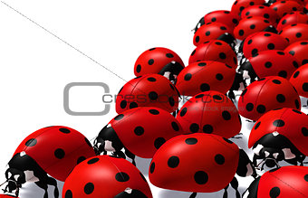 Group of ladybugs