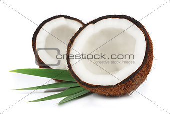 Coconuts with leaves 