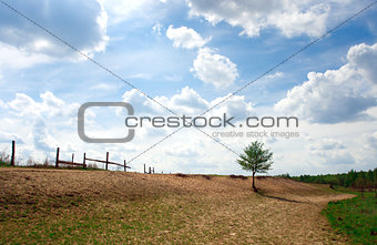 Landscape with a tree and fence