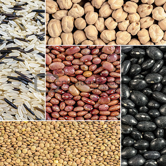 Beans, lentils, rice, chickpeas