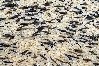 Mixed rice grain, black and white