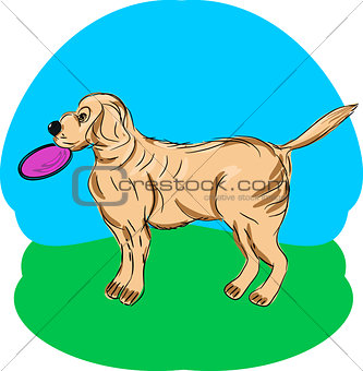 A dog with frisbee