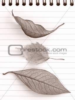 autumnal notepad