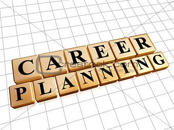 career planning in golden cubes