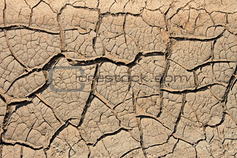 Dried soil with many cracks