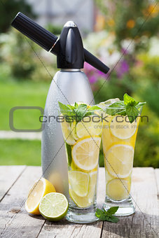Homemade lemonade and siphon