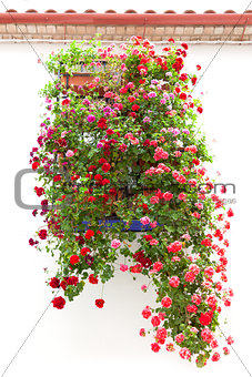 Typical Window decorated Pink and Red Flowers, Mediterranean Eur