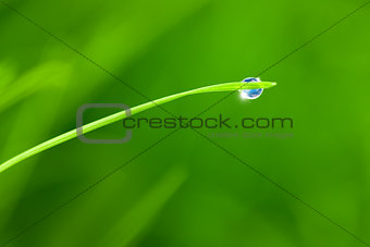 Dewdrop with Sky reflection on Blade of Grass / copy space backg