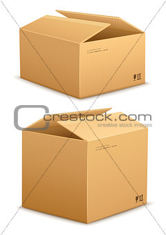 Cardboard box for packing
