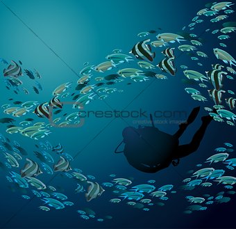 School of fish and scuba diver
