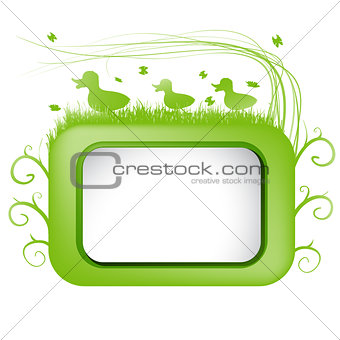 Spring vector banner with  green grass and duck .