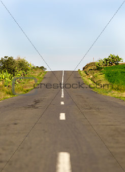 Long Country Road with Markings