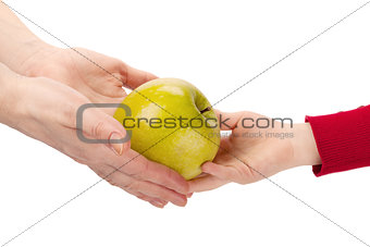 Mothers hands give apple to child's hands isolated on white back