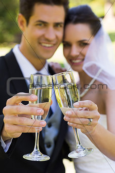 Newlywed toasting champagne flutes at park