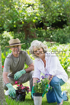 Smiling couple engaged in gardening