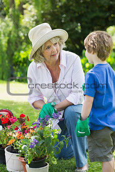Grandmother and grandson engaged in gardening