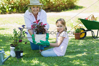 Grandmother and granddaughter engaged in gardening
