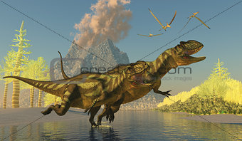 Yangchuanosaurus Dinosaurs