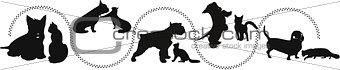 animals cats and dogs traces