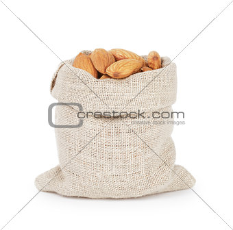 small sack bag full of dried almond nuts