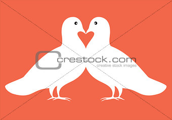 pair of doves in love