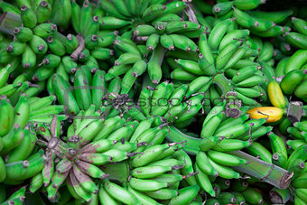 Bunches of green bananas in east market