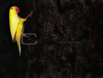 Yellow parakeet painting